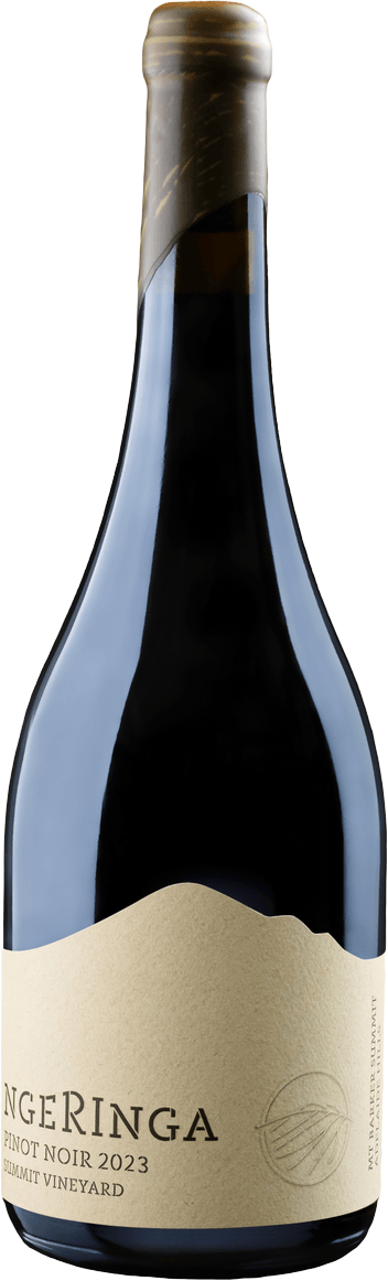 Pinot Noir 2024 — Adelaide Hills